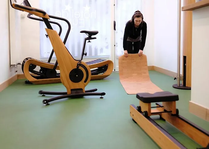 Logis De L'europe Hotel 3*