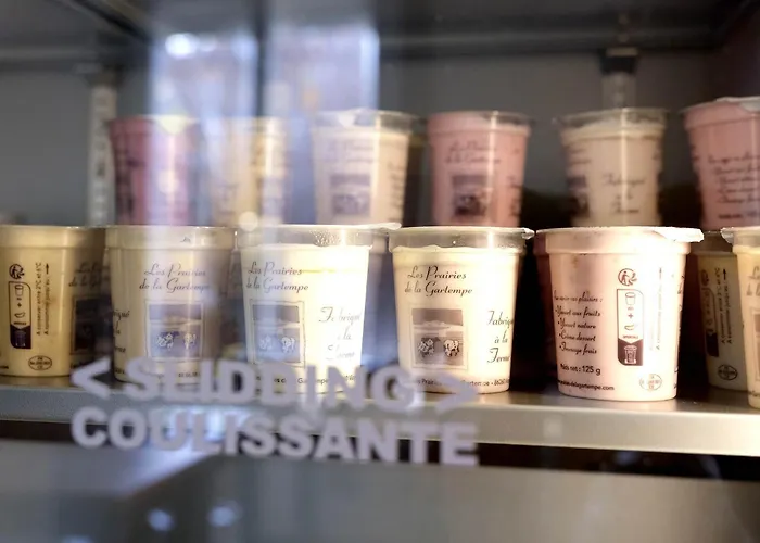 Logis De L'europe 3* Puvatya