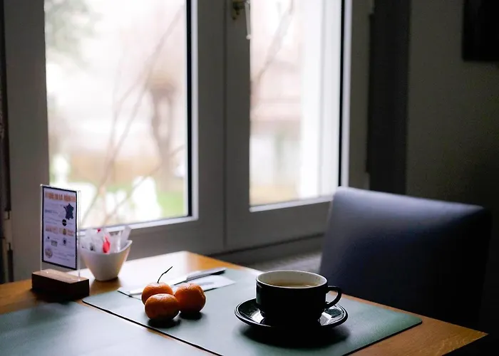 Otel Logis De L'europe 3*