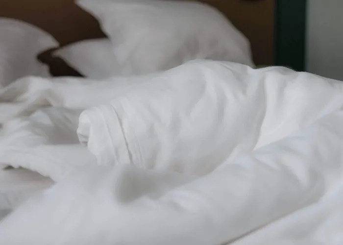 Logis De L'europe Otel