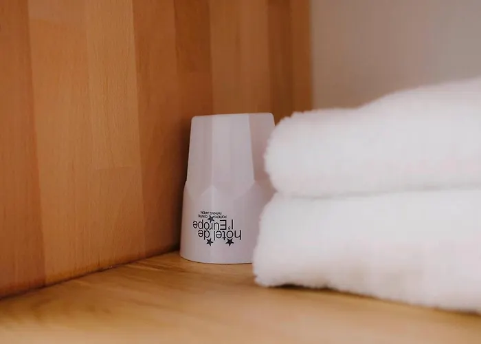 Otel Logis De L'europe